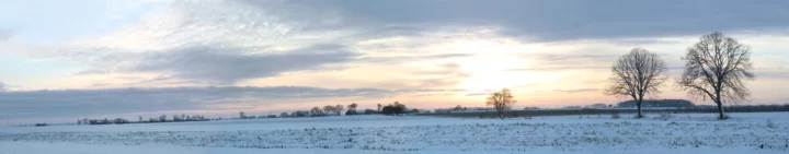 夕阳映照着积雪的田野，远处矗立着几棵无叶的树木。