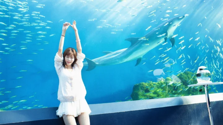 一名穿白色衣服的成年女性站在水族馆玻璃前，身后可见海豚和成群的鱼。