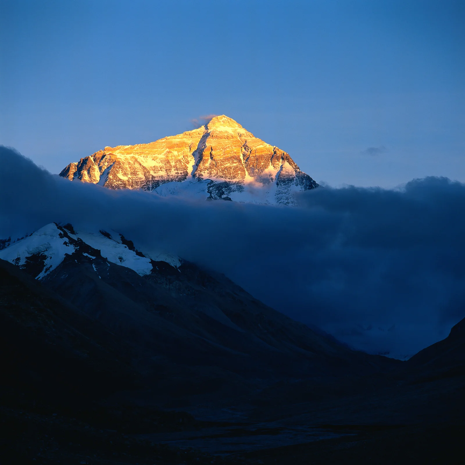 金色晨光照亮云海上方的雪山，前景山坡沉浸在深蓝色阴影中。