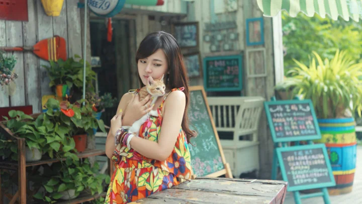 一名女子在户外咖啡馆前抱着一只猫。