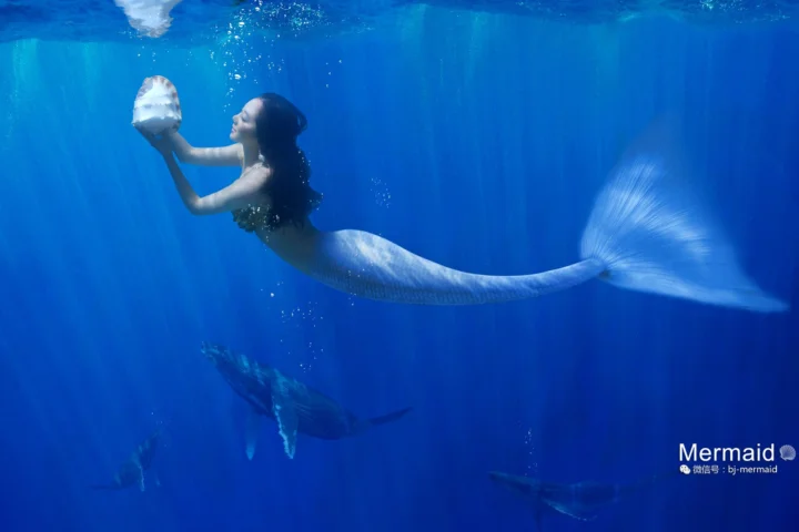 人魚が深い青色の水中を泳ぎ、遠くに数頭のクジラが見える。