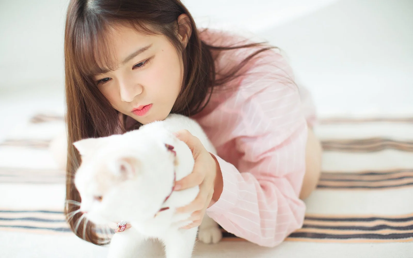 一名身穿粉色上衣的女子俯身抱着一只白猫。